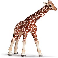 Schleich Giraffe Calf