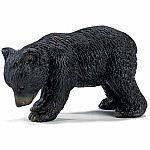 Black Bear Cub