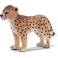Cheetah Cub