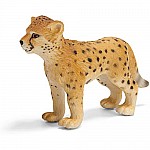 Cheetah Cub