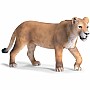 Lioness, Walking