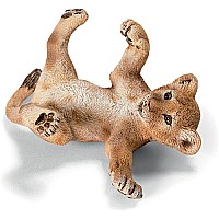 Lion cub, lying