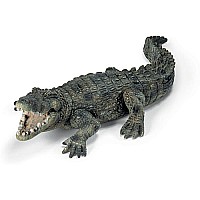 Crocodile