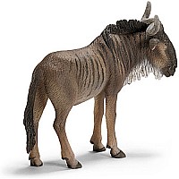 Gnu     Y