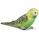 Budgy, Green