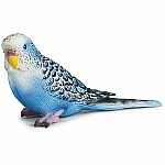 Budgy, Blue