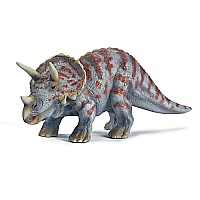 Triceratops