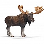 Moose Bull