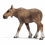 Moose Cow