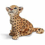 Jaguar Cub