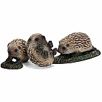 Hedgehog Pups
