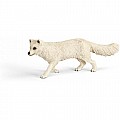 Arctic Fox