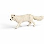 Arctic Fox