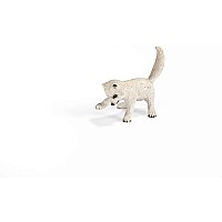 Arctic Fox Kit