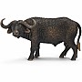 African Buffalo