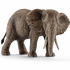 African Elephant, Female