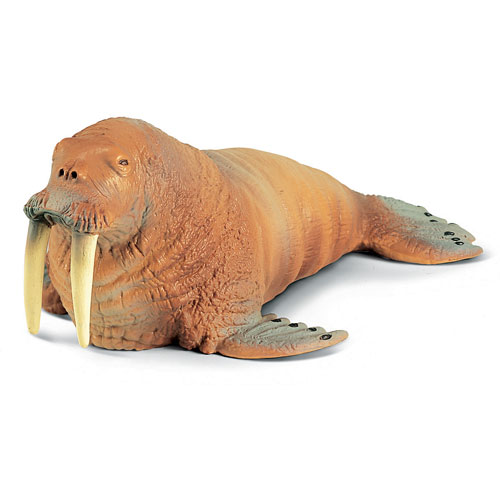 Walrus Toys 104
