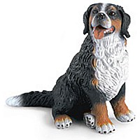 Bernese Mountain Dog