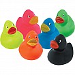 Rubber Duckies Multi Colors