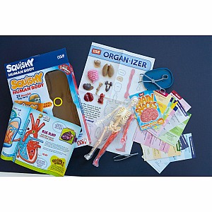 Smart Lab Squishy Human Body