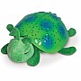 Twilight Ladybug Green