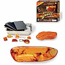 Discover Amber Kit