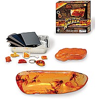 Discover Amber Kit