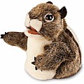 Little Chipmunk