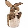 Little Hare