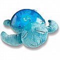 Tranquil Turtle Aqua