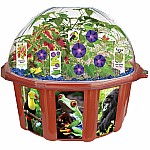 Rainforest Biosphere