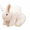 White Bunny Rabbit