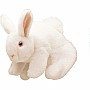 White Bunny Rabbit