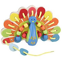 Lacing Peacock