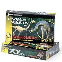 Brachiosaurus Skeleton