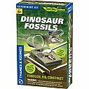 Dinosaur Fossils