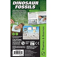 Dinosaur Fossils