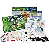 Genetics & DNA