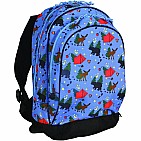 Camping Backpack