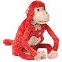 Baby Mashaka the Monkey