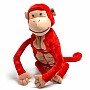 Mashaka the Monkey