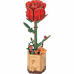 Red Rose
