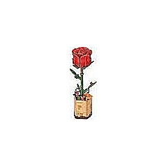 Red Rose