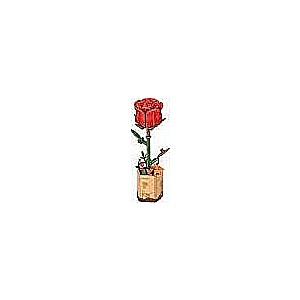 Red Rose