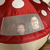 AirFort - Mushroom House
