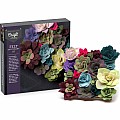 Craft Crush Felt Succulents Kit