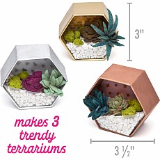 Mini Terrariums Kit