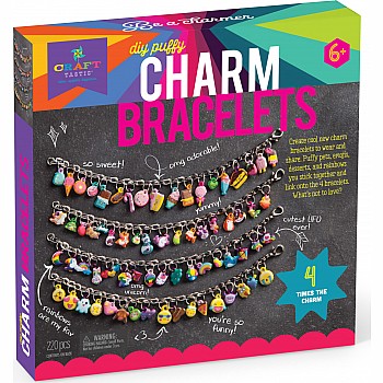 Charm Bracelets Kit