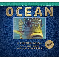 Ocean: A Photicular Book
