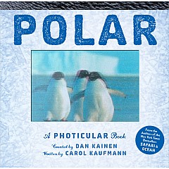 Photicular: Polar